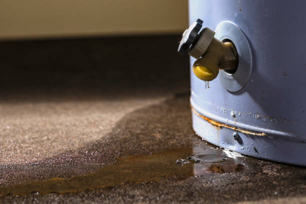 Best Mold removal after water damage  in Atlantic Beach, NY