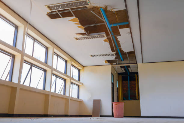 Best Professional water damage repair  in Atlantic Beach, NY