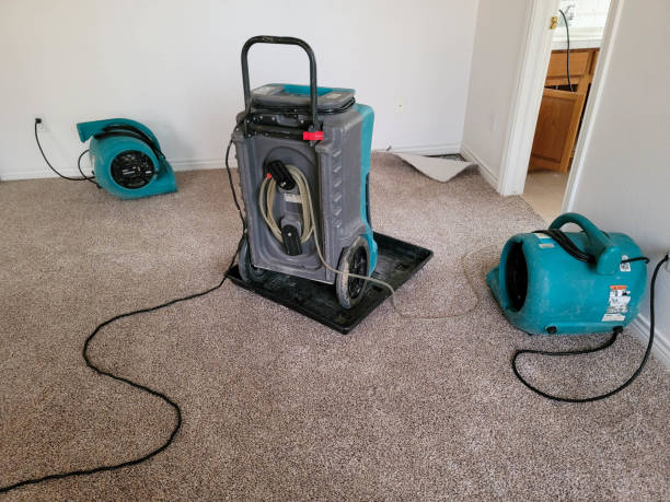 Best Flooded house restoration  in Atlantic Beach, NY