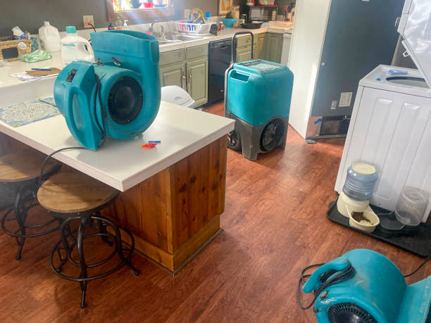 Best Commercial water damage restoration  in Atlantic Beach, NY