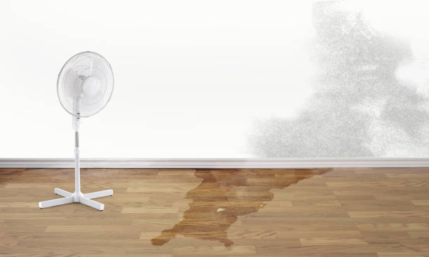 Best Flood restoration services  in Atlantic Beach, NY