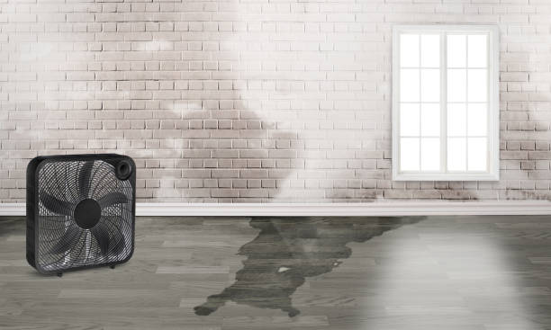 Best Flood damage cleanup  in Atlantic Beach, NY