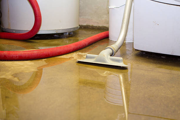 Best Basement water damage restoration  in Atlantic Beach, NY