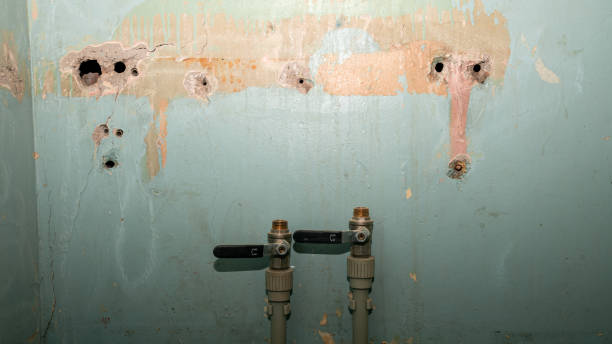 Best Local water damage restoration  in Atlantic Beach, NY