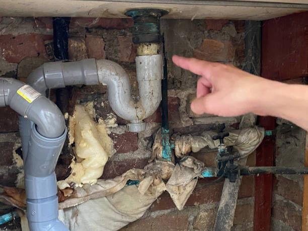 Best Flooded house restoration  in Atlantic Beach, NY
