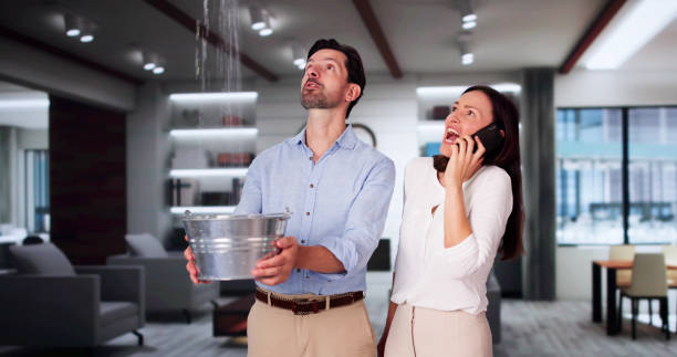 Best Residential water damage restoration  in Atlantic Beach, NY